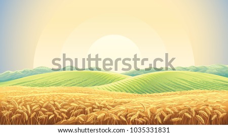 Summer landscape with a field of ripe wheat, and hills and dales in the background Royalty-Free Stock Photo #1035331831