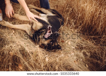 young family playing with her dog, close-up