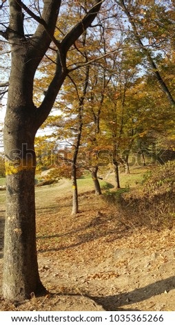 This is korean nice view. I take a picture on the mountain in autumn. 