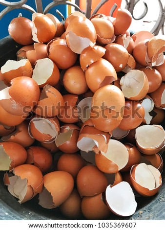 group of fresh chicken eggshell, top view full frame, benefit after cooking, good quality raw material of organic compost or fertilizer for homemade plants garden, farming knowledge tips and tricks
