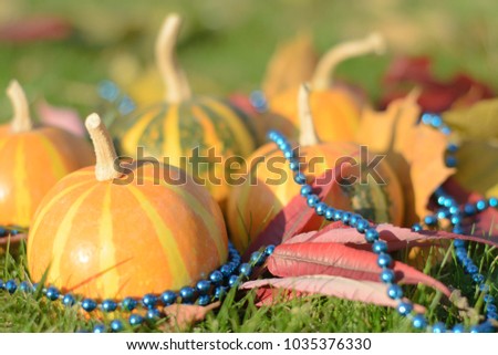 small pumpkins among the blue garland