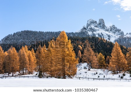 OBEREGGEN, ITALY - NOVEMBER 12: This picture was taken along the path from Obereggen to Lake Carezza (Italy)