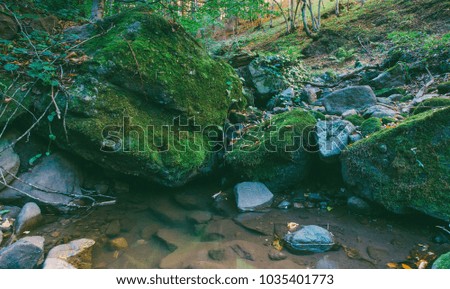 a forest source of water between large stones covered with green moss