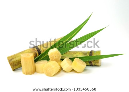 sugar cane and brown sugar on white isolate background Royalty-Free Stock Photo #1035450568