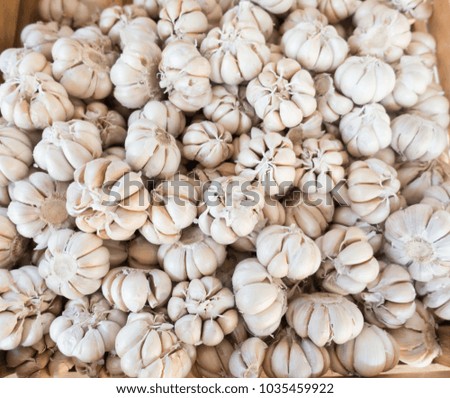Top view of White garlic pile texture.Fresh garlic on market table closeup photo.Vitamin healthy food spice image.Spicy cooking ingredient picture. 