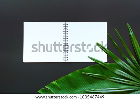 Tropical Palm Leaf Notebook Isolated White Black Background Flat Lay Top View Travel Planning Concept