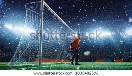 Soccer game moment  on professional stadium