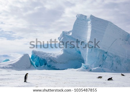 Antarctic typical landscape