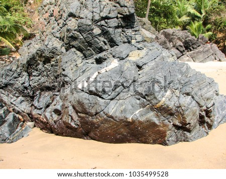 Coast Of Ocean with stones and coconut palm trees.