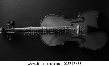 Musical professional violin instrument.