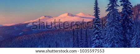 Winter mountain landscape with the top mountains lit by sunset. Panoramic photo.