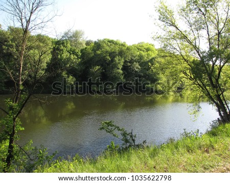 Green grass and spring forest at the river