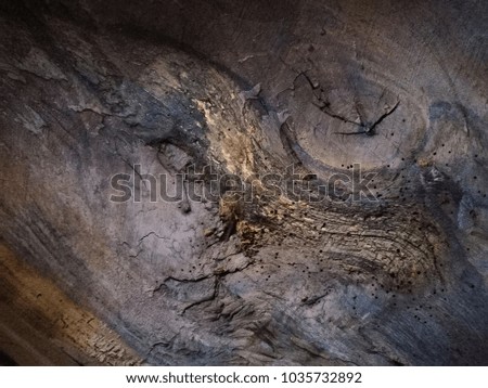 Texture of old wood. Close-up photo of natural material background