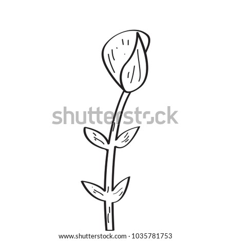 Drawing of a rose