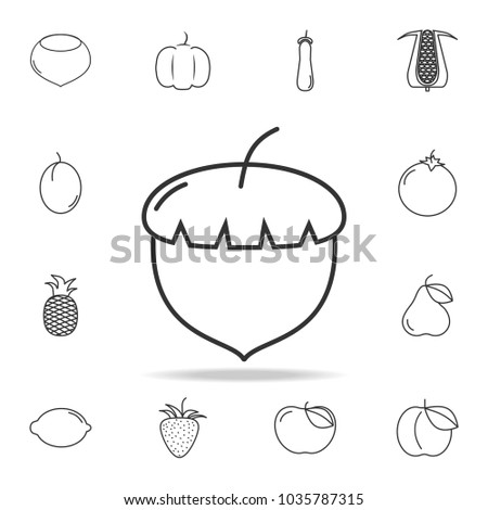 Acorn icon. Set of fruits and vegetables icon. Premium quality graphic design. Signs, outline symbols collection, simple thin line icon for websites, web design, mobile app on white background