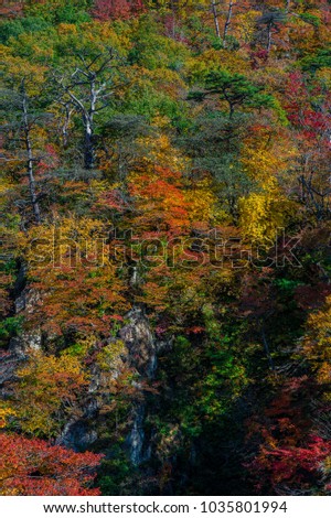 Autumn in Naruko Gorge Japan.