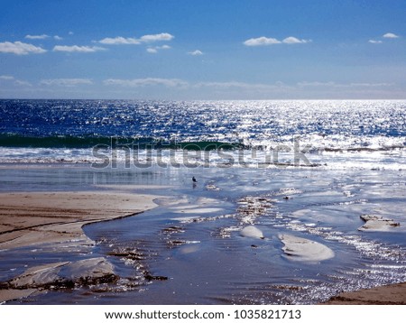 Seascape at low tide