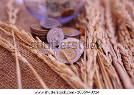 Soft focus  ,Concept  Income from agriculture