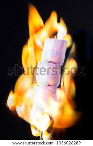 Delicious and sweet candy marshmallows on wooden stick over the bonfire