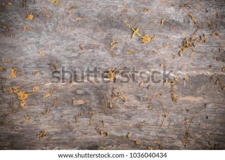 Wooden floor with dry leafs for background 