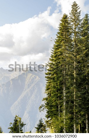 Photo of picturesque mountainous area with trees and cloudy sky