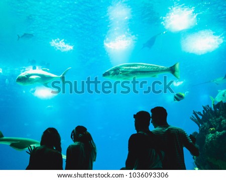 People watching fish through the glass in a Oceanarium.