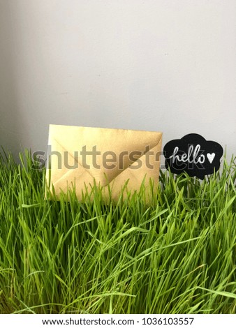 envelope on grass with hello chalkboard. hello spring. love envelope