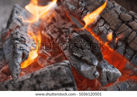 Fire with charcoals. Burning wood. Macro. Live flames with smoke. Wood with flame for barbecue and cooking bbq. Bright color. Orange