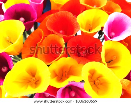 Colorful flowers paper background. Red, pink, orange, yellow and peach handmade paper flowers