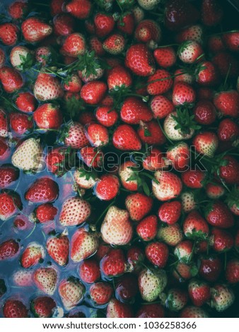 Yummy Red strawberry Royalty-Free Stock Photo #1036258366