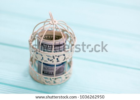 dollars in an iron cage on a wooden background
