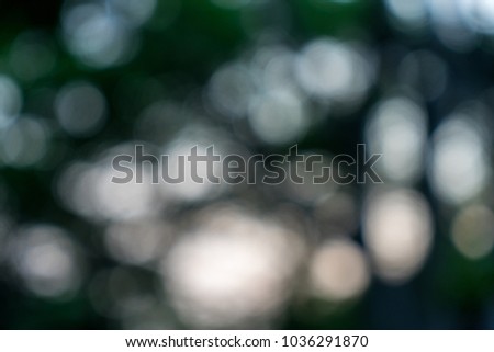 Bokeh light from tree blur background