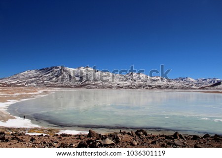 White Lagoon (laguna blanca) - Bolivian Highlands (Altiplano Boliviano)