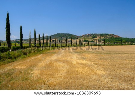 Summer landscape near Perugia, Umbria, Italy, between Solomeo and Vignaia