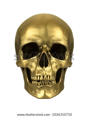 Gold human skull, isolated on white background Royalty-Free Stock Photo #1036310710