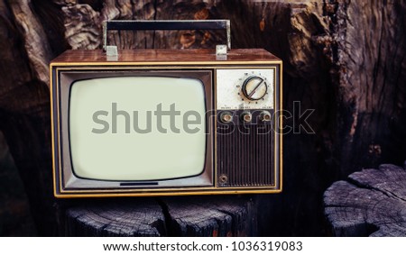 Vintage, retro style old television on the wooden log background, TV technology