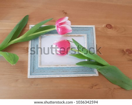 Tulips laying on a picture frame, Spring flowers
