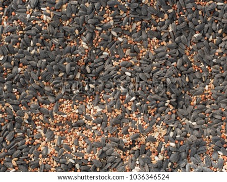A picture of a bird food mix with sunflower and other seeds. Great natural background image, with interesting texture.