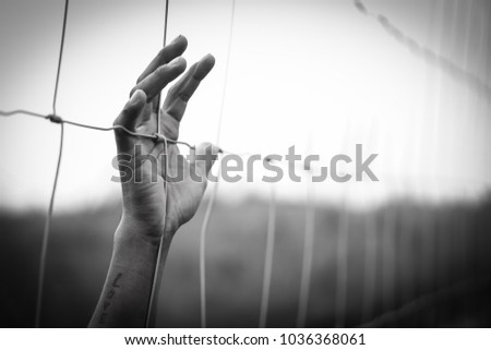 Hand in jail  and house of detention concept, black and white colour tone. Royalty-Free Stock Photo #1036368061