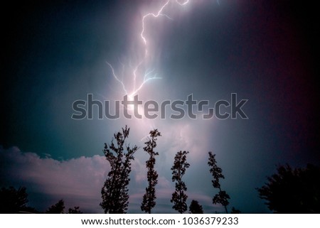 Lightning Storm over shaking trees with blue violet background sky