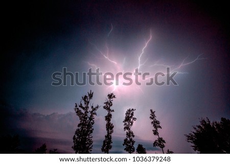 Lightning Storm over shaking trees with blue violet background sky