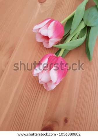 Tulips laying on a wooden table, Spring flowers