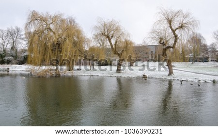 A park in Cambridge during the snows of February 2018