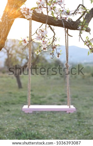Photographic background for newborn or girls on a pink swing. Swing hanging from an almond tree or cherry