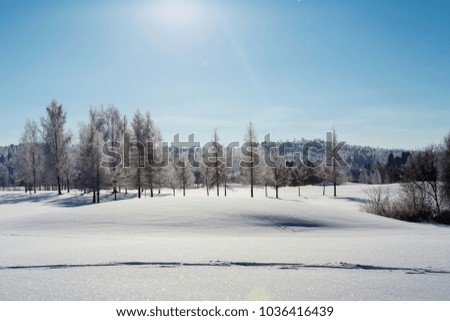 Beautiful wintry landscape from Finland. Sunny scenery, wallpaper. Snowy ground with footprints in the snow.