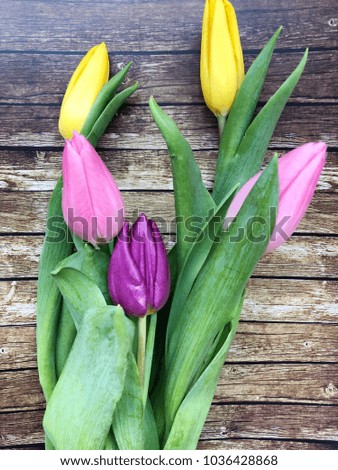 tulips on wooden background. spring tulips