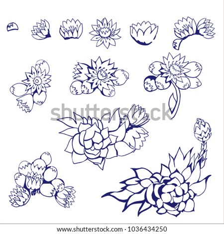Vector collection set of flower by hand drawing on white backgrounds.