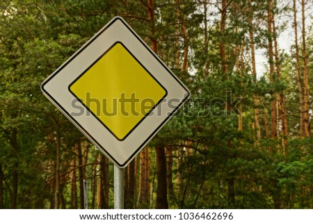 Road sign main road in a pine forest
