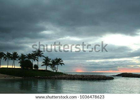 Dark Orange Light Tropical Sunset with Palms