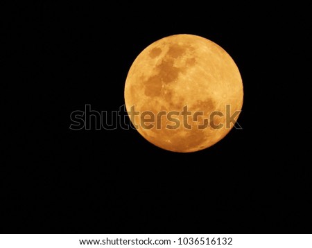 Honey moon full moon